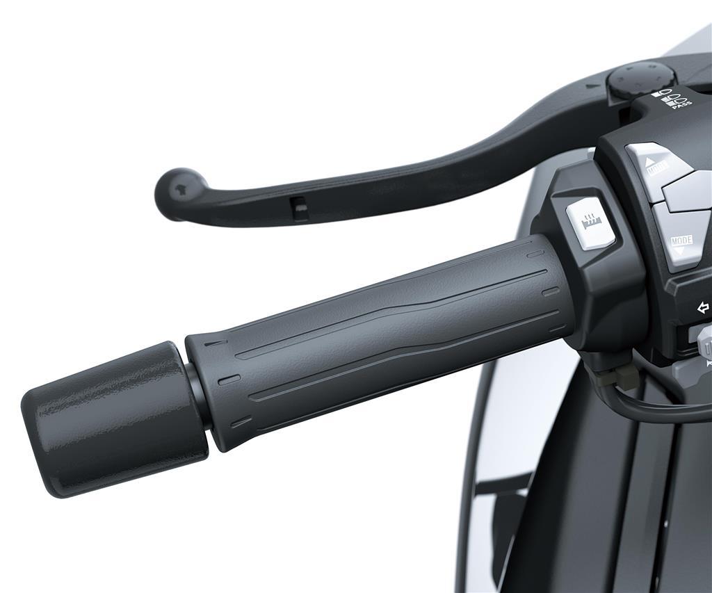 Conjunto de punhos aquecidos (Z H2/SE)