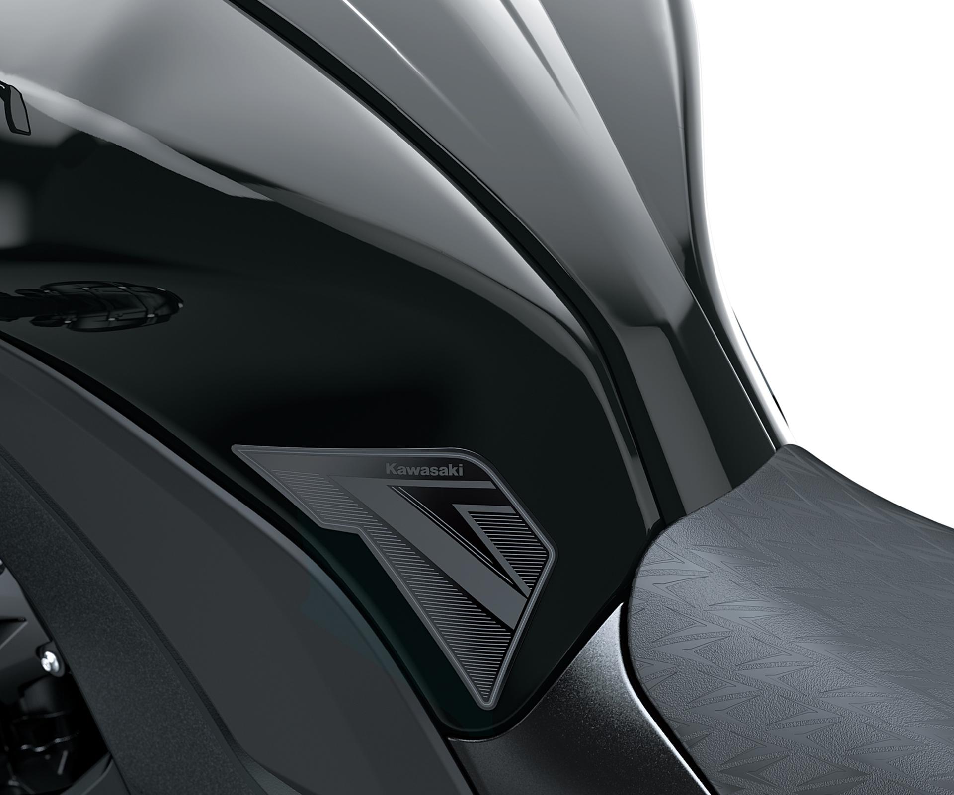 Protetor de depósito (Z1100/SE)